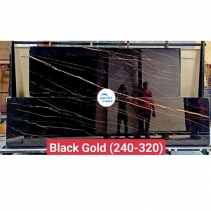 Black Gold (240-320)