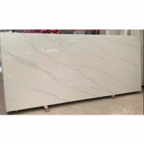 Đá nung kết - MS TR1