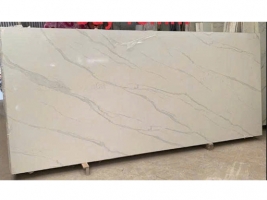 Đá nung kết - MS TR1